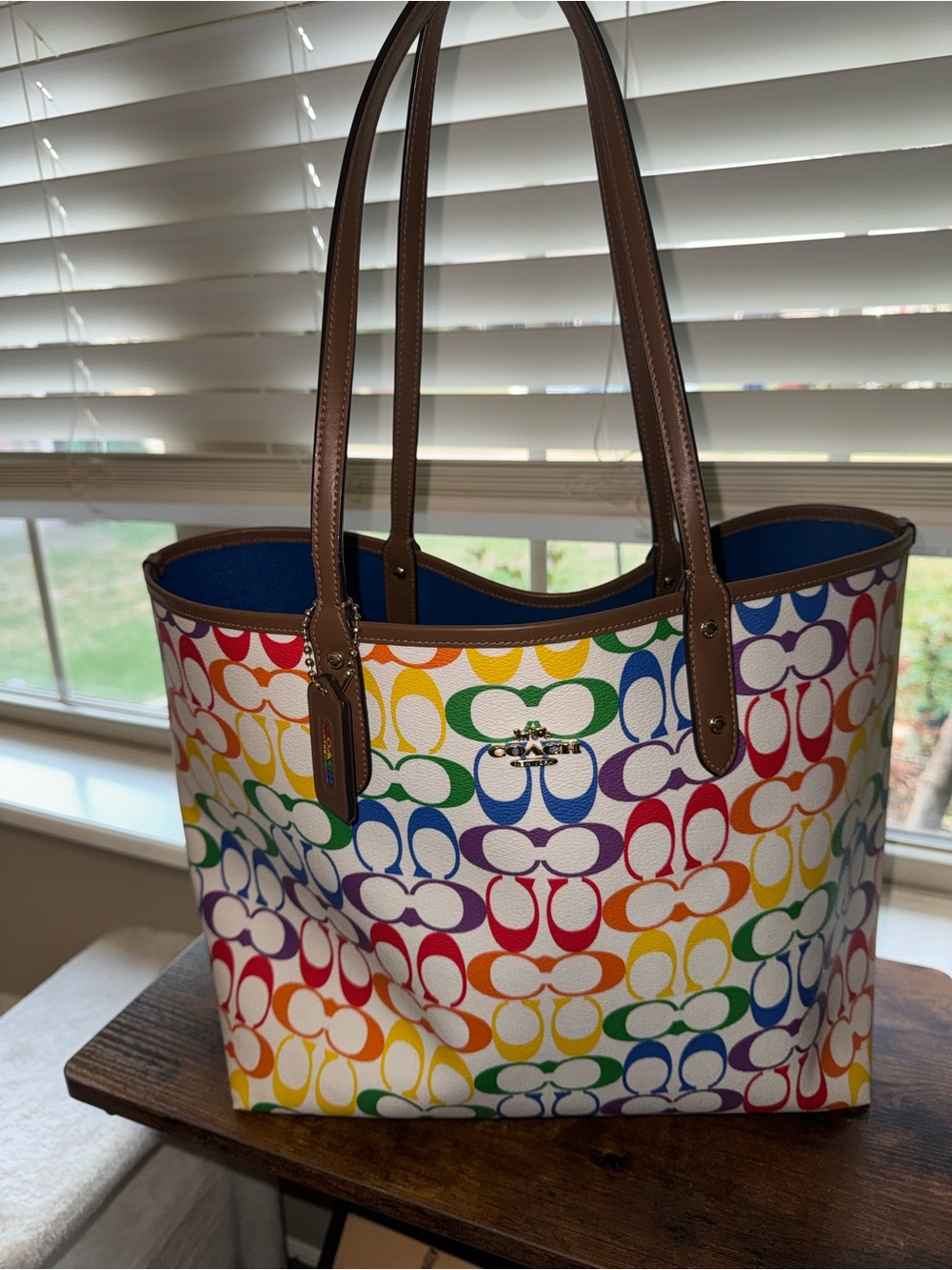 COACH Reversible City Tote in Rainbow Signature Canvas